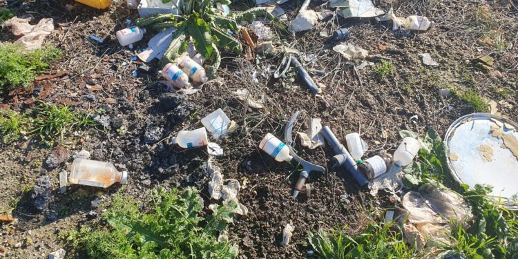 «Atentado» medioambiental en Macotera: residuos y restos veterinarios abandonados en un regato junto a un pinar