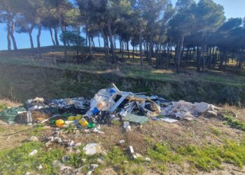 «Atentado» medioambiental en Macotera: residuos y restos veterinarios abandonados en un regato junto a un pinar
