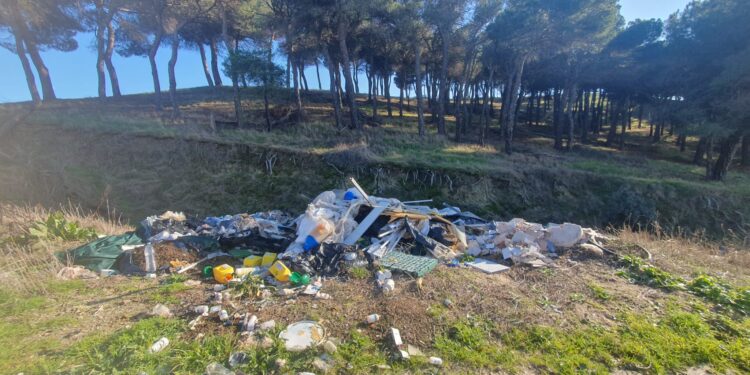 «Atentado» medioambiental en Macotera: residuos y restos veterinarios abandonados en un regato junto a un pinar