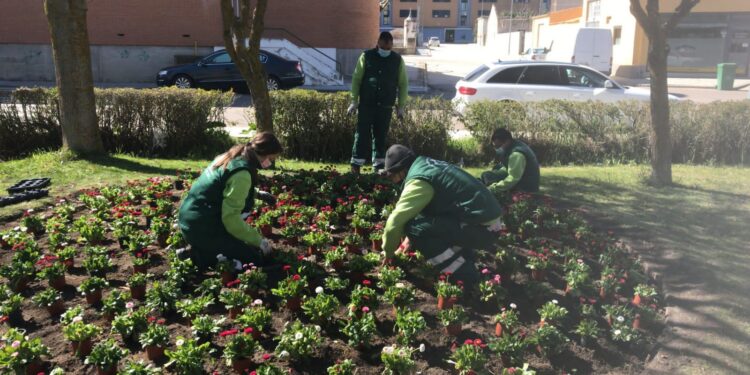 «Boom» de inscripciones para los programas formativos de Albañilería y Jardinería que se desarrollarán en Peñaranda