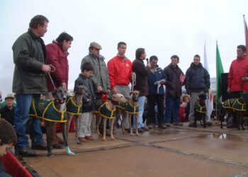El Campeonato Nacional de Galgos sólo se ha celebrado tres veces en la provincia, la última en Cantalapiedra en 2008