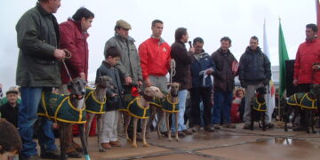 El Campeonato Nacional de Galgos sólo se ha celebrado tres veces en la provincia, la última en Cantalapiedra en 2008