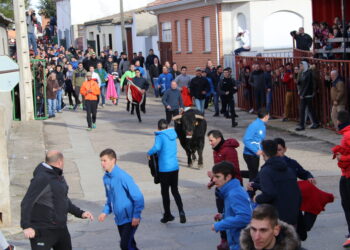 Babilafuente acogerá el 4 de febrero el primer gran festejo taurino del nuevo año con la IV edición del Toro del San Blas