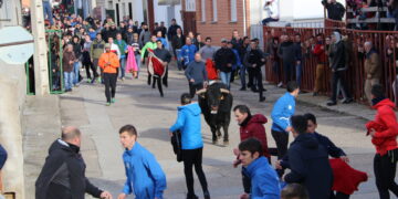 Babilafuente acogerá el 4 de febrero el primer gran festejo taurino del nuevo año con la IV edición del Toro del San Blas