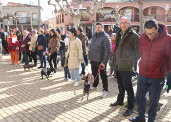 Macotera celebra por todo lo alto a San Antón con misa, bendición de los animales e invitación de los mayordomos salientes