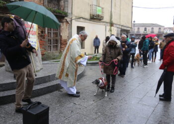 Tortugas y perros reciben la bendición en Peñaranda con motivo de la reciente festividad de San Antón Abad