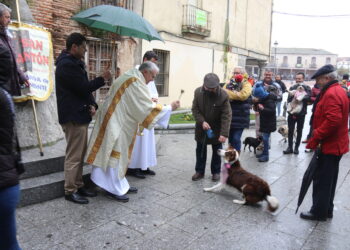 Tortugas y perros reciben la bendición en Peñaranda con motivo de la reciente festividad de San Antón Abad