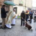 Tortugas y perros reciben la bendición en Peñaranda con motivo de la reciente festividad de San Antón Abad