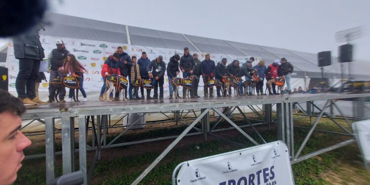 La niebla y la previsión de lluvias obligan a aplazar los octavos de final del Campeonato Nacional de Galgos en Campo