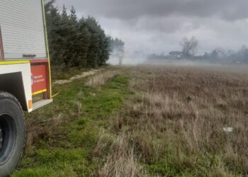 Un incendio en un finca de recreo de Peñaranda obliga a intervenir a Bomberos, Policía Local y Guardia Civil