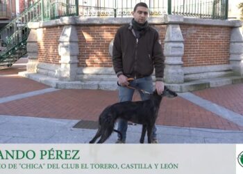 Chica de Lafervet se estrenará el domingo en el Campeonato Nacional de Galgos frente a la manchega Edurne de El Canto