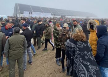 Todo listo para el comienzo del LXXXV Campeonato de España de Galgos en Campo que se aplazó el día 14 por la niebla
