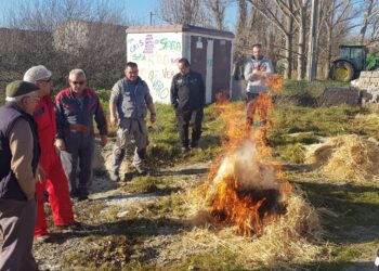 Rágama recupera este año la matanza tradicional del cerdo con una jornada festiva que tendrá lugar el sábado 11 de febrero