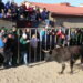 Babilafuente cuelga el «completo» en un multitudinario Toro de San Blas con el recorrido repleto de público y aficionados