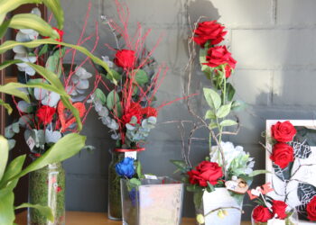 Floristería Martina abre su nueva tienda en Peñaranda con plantas de interior y exterior, flores naturales y preservadas y bonsáis