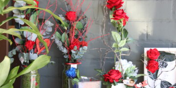 Floristería Martina abre su nueva tienda en Peñaranda con plantas de interior y exterior, flores naturales y preservadas y bonsáis