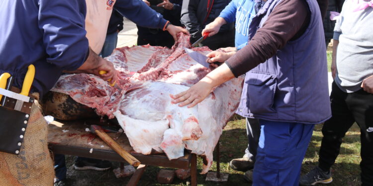 Los jóvenes de Mancera de Abajo toman la iniciativa y organizan una exitosa matanza que alcanza este año su V edición