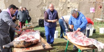 Los jóvenes de Mancera de Abajo toman la iniciativa y organizan una exitosa matanza que alcanza este año su V edición