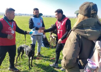 Anita de Guirri y Anika de Pinante protagonizarán este sábado la esperada final del LXXXV Campeonato Nacional de Galgos