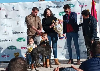 Chica de Lafervet logra el premio del Club Nacional del Galgo Español a la mejor morfología del campeonato nacional