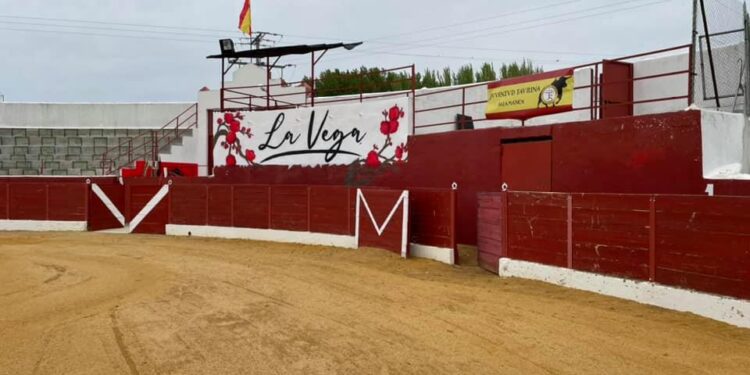 Villoria programa una corrida de toros mixta en el coso de la Vega para el 16 de abril enmarcada en las fiestas del Voto