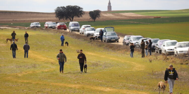 Aficionados de varias provincias se dan cita en Palaciosrubios para participar en la primera carrera de liebre mecánica