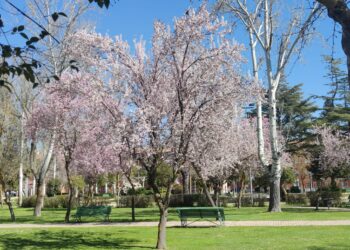 Peñaranda da la bienvenida a la primavera con espectaculares imágenes en el entorno del parque municipal Los Jardines