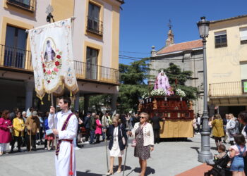Claveles blancos para acompañar a la Virgen de la Misericordia en su fiesta anual con misa y procesión por las callles de Peñaranda