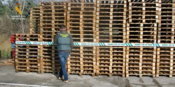 La Guardia Civil de Salamanca investiga a varias personas por tres delitos contra la flora, fauna, receptación y clasificación
