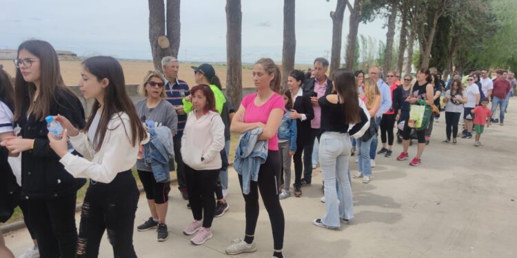 Los pueblos de Las Villas se vuelcan en la campaña solidaria con la marcha, bocata y paellas a beneficio de la ONG Acción Verapaz