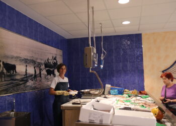 La pescadería Rías Baixas abre sus puertas en Peñaranda en la céntrica calle del Carmen y muy cerca de la plaza de España