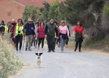 Paradinas de San Juan reúne a más de 600 personas en la VI edición del Paseo Saludable a beneficio de la asociación Aspas