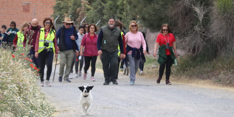 Paradinas de San Juan reúne a más de 600 personas en la VI edición del Paseo Saludable a beneficio de la asociación Aspas