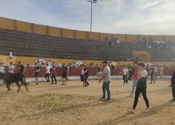Pasión Taurina Babilafuente anima la fiesta de los quintos del 2004 con una capea en la plaza de toros y un encierro infantil