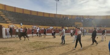 Pasión Taurina Babilafuente anima la fiesta de los quintos del 2004 con una capea en la plaza de toros y un encierro infantil