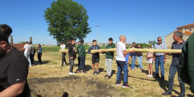 Los quintos de Villoruela ponen el mayo y disfrutan de un intenso fin de semana como grandes protagonistas en la localidad