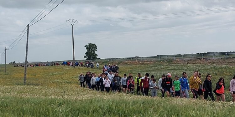 Paradinas de San Juan celebrará el próximo 21 de mayo la VI edición del Paseo Saludable a beneficio de ASPAS Salamanca