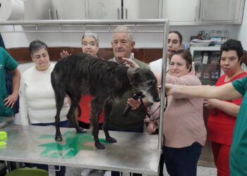 Chica de Lafervet recibe en Peñaranda los cuidados de un grupo de usuarios de Acopedis entusiasmados con la experiencia