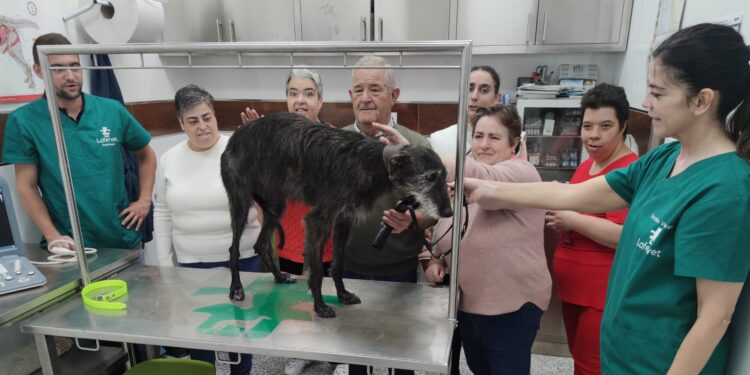 Chica de Lafervet recibe en Peñaranda los cuidados de un grupo de usuarios de Acopedis entusiasmados con la experiencia