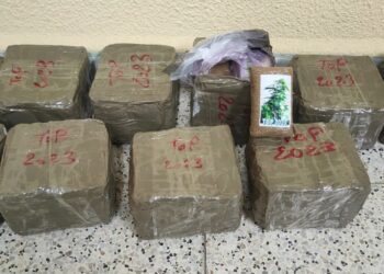 La Guardia Civil de Salamanca incauta 10,6 kilos de pastillas de hachís y detiene a un varón de 44 años en Pelabravo