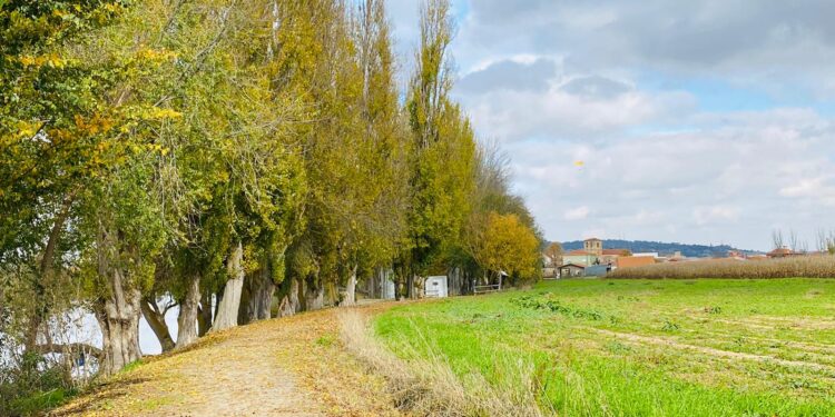 La Feria Tierra de Mujeres Rurales llega este sábado a Huerta con degustaciones, música y expositores de alimentación y artesanía