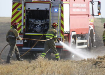 Primer incendio de la temporada en Peñaranda: los Bomberos intervienen en una tierra de cereal en el camino del Villar