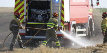 Primer incendio de la temporada en Peñaranda: los Bomberos intervienen en una tierra de cereal en el camino del Villar