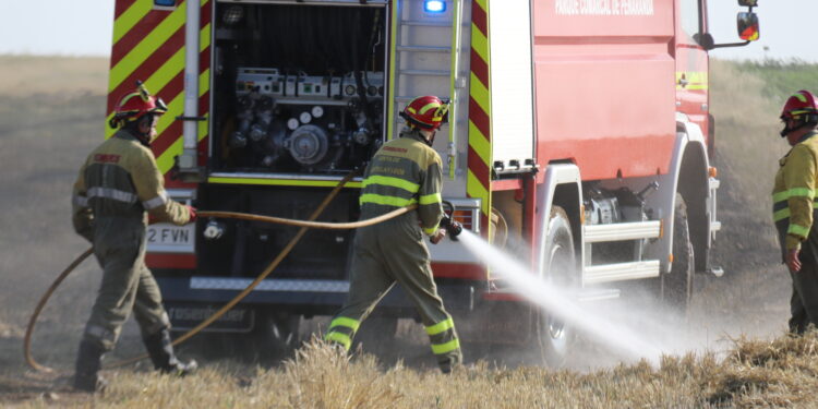 Primer incendio de la temporada en Peñaranda: los Bomberos intervienen en una tierra de cereal en el camino del Villar