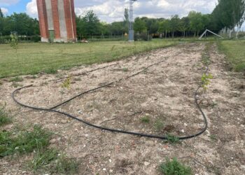 Aldeaseca de la Frontera crea un vivero forestal para los árboles que posteriormente se plantarán en varias zonas verdes