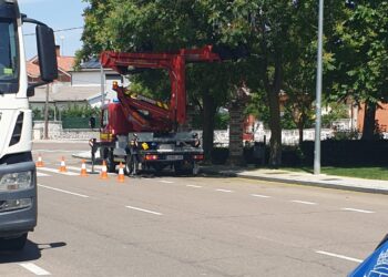 Bomberos y Policía Local intervienen en Peñaranda para retirar un enjambre de abejas en la avenida de los Jardines