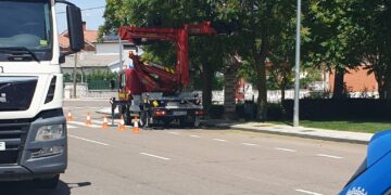 Bomberos y Policía Local intervienen en Peñaranda para retirar un enjambre de abejas en la avenida de los Jardines