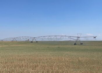 El Canal de La Armuña ya riega con presión en el sector E aunque los agricultores piden más horas y días de riego para los cultivos