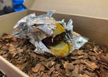 Helio Flores presenta sus «Recuerdos de la infancia» al XXII Concurso Provincial de Pinchos que se celebra desde hoy