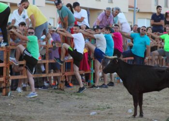 Villoruela vive una intensa tarde taurina con el Toro del Cajón que deja emoción, riesgo y algún que otro susto ante los astados